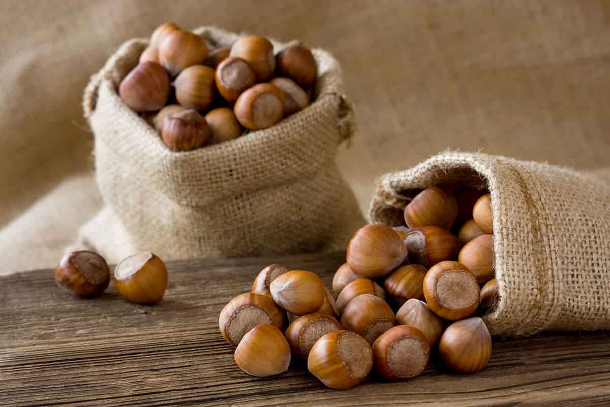 Shelled hazelnuts jam for thumbprint Cookies