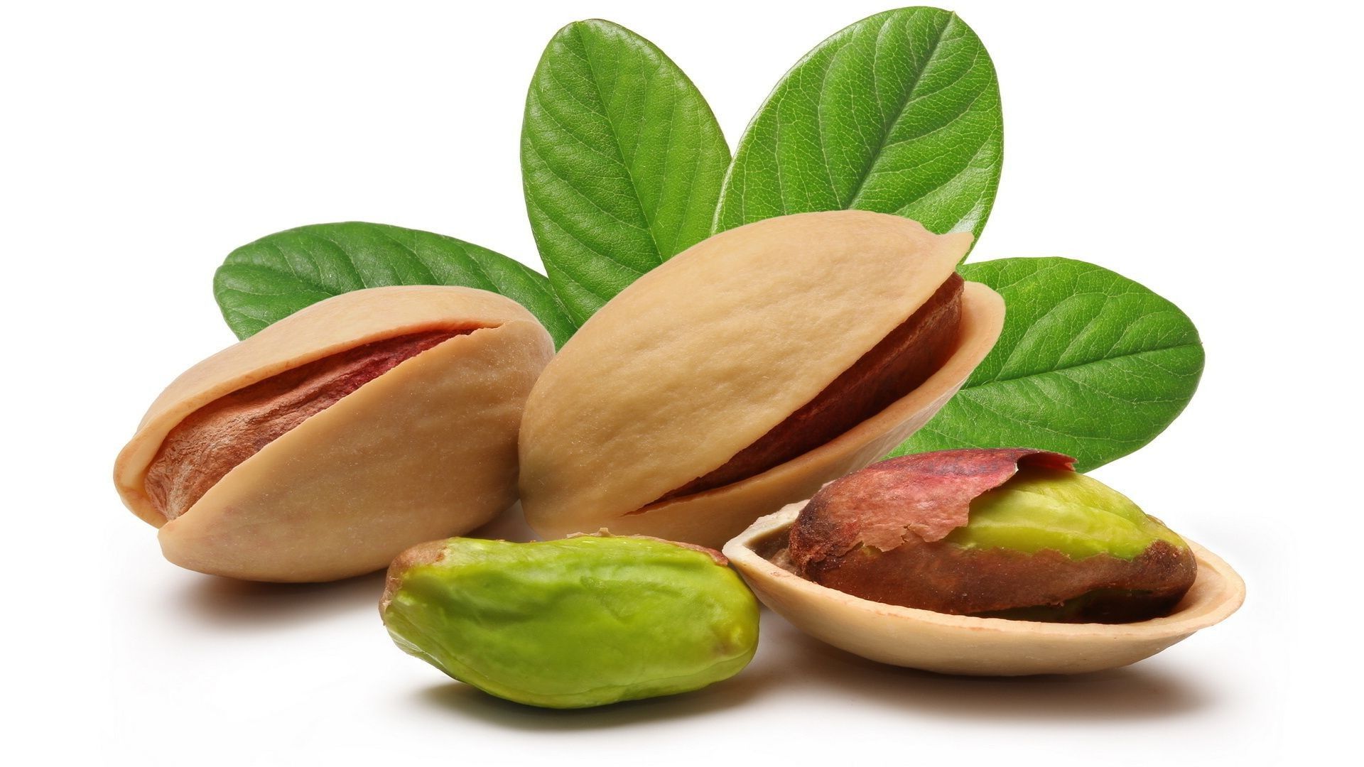 raw shelled pistachios bulk