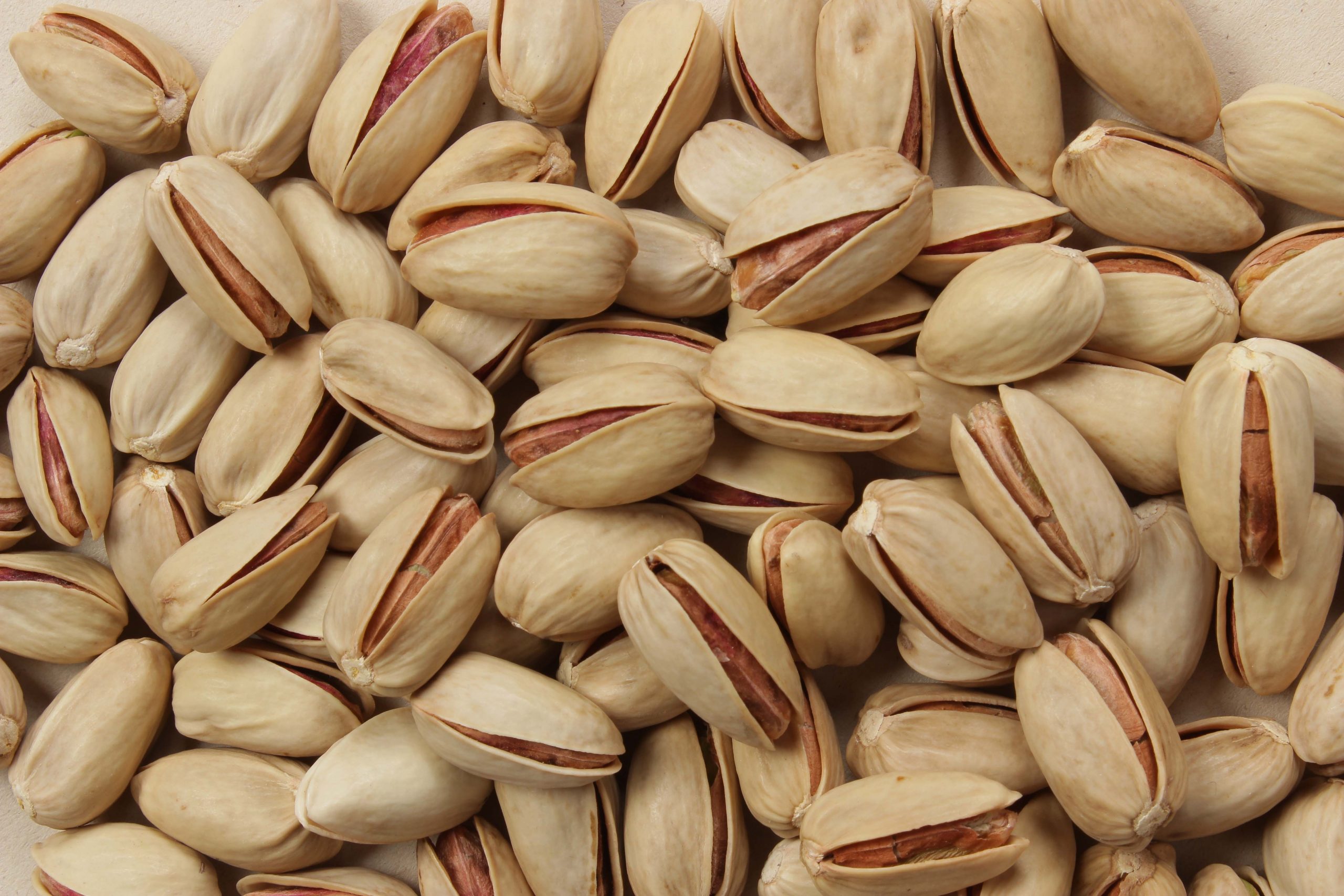 raw shelled pistachios bulk