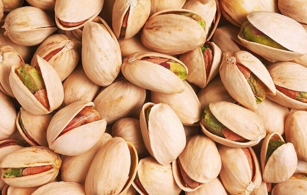 raw shelled pistachios bulk