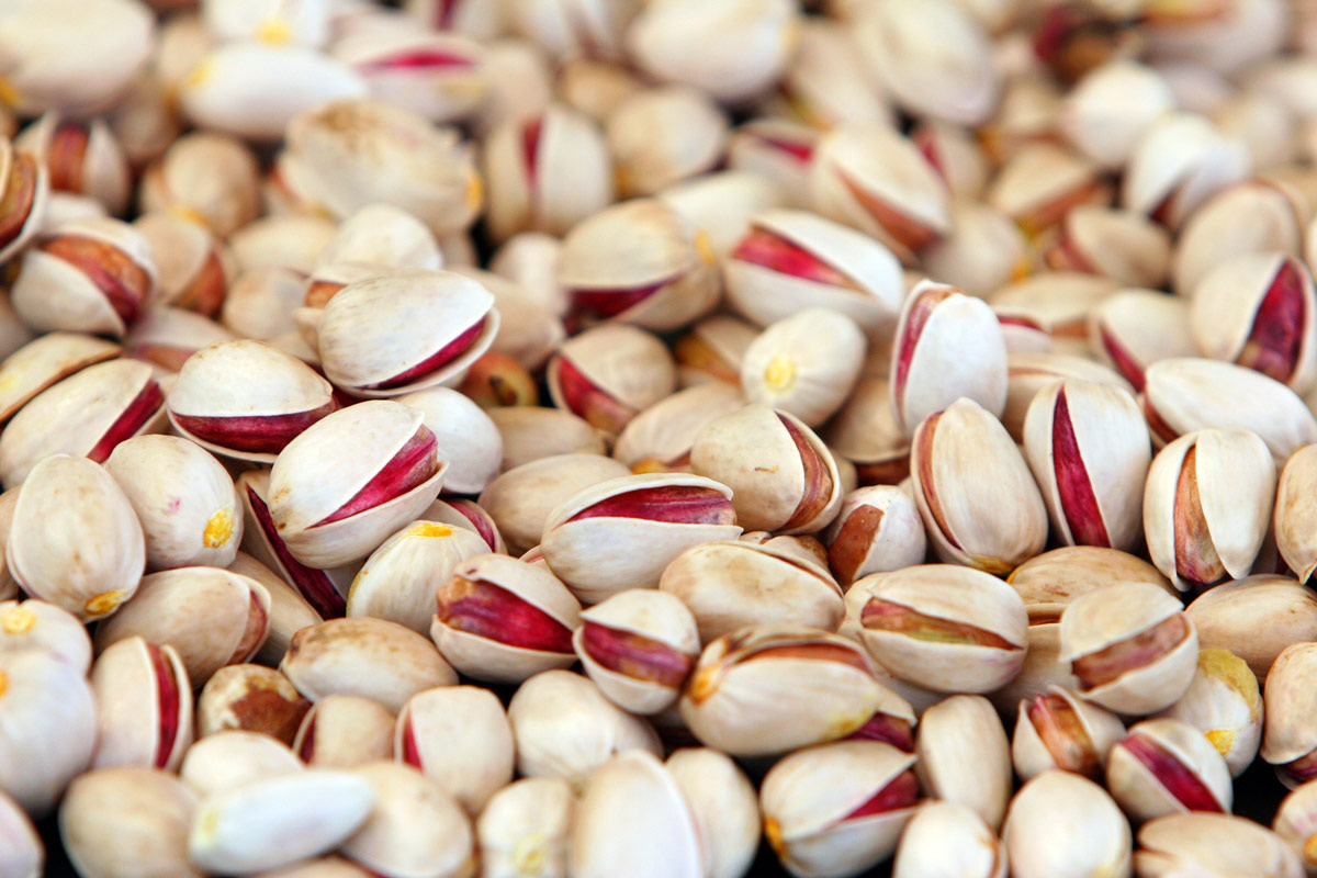 raw shelled pistachios bulk