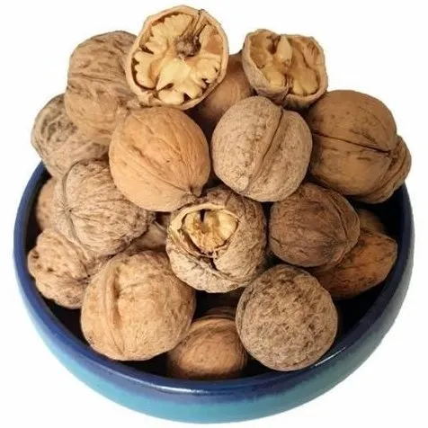 The most appropriate price for raw walnuts in shell in Dubai 2023