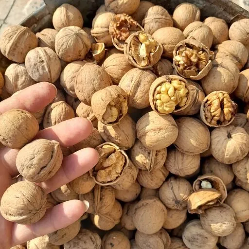 lightly salted walnuts