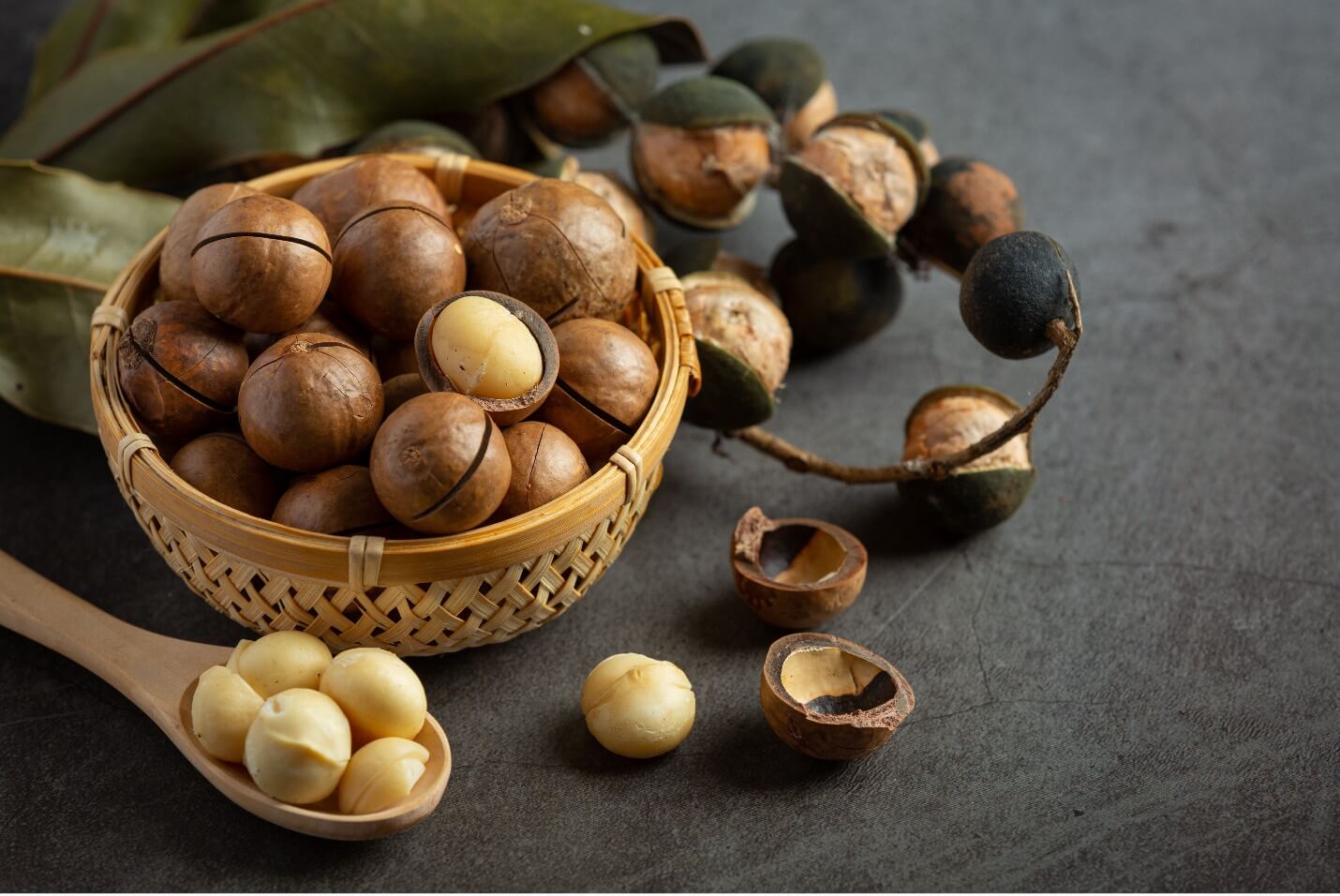 hazelnut kernels benefits