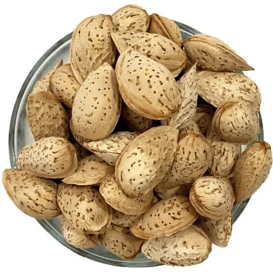 raw bitter almonds nuts