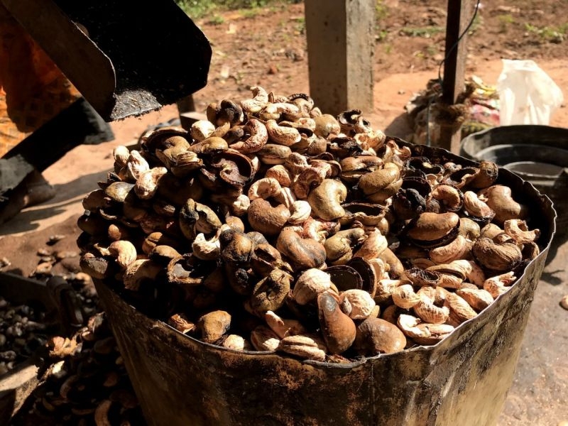 Buy bulk salted cashews types + price