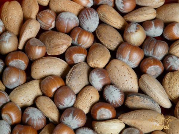 Specifications of nut