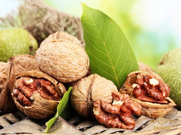 The most appropriate price for raw walnuts in shell in Dubai 2023