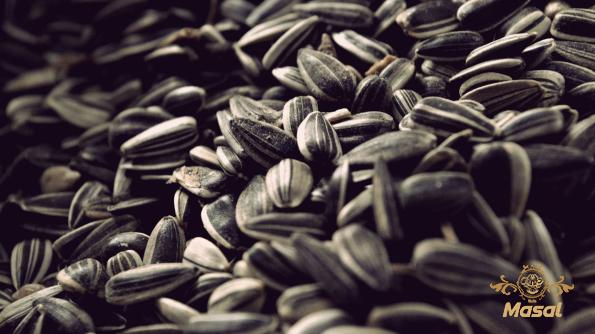 Price and buy bigs sunflower seeds bulk + cheap sale