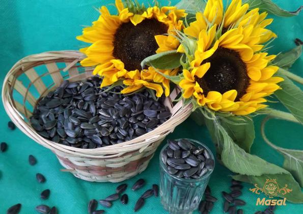 Smackin sunflower seeds price + wholesale and cheap packing specifications