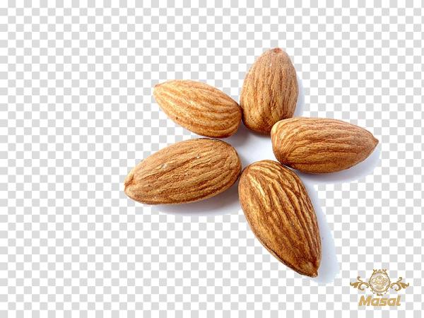 Specifications of nut